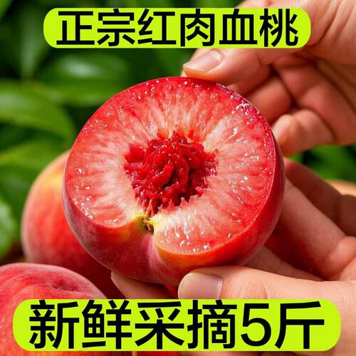 湖北正宗红心血桃5斤现摘脆甜