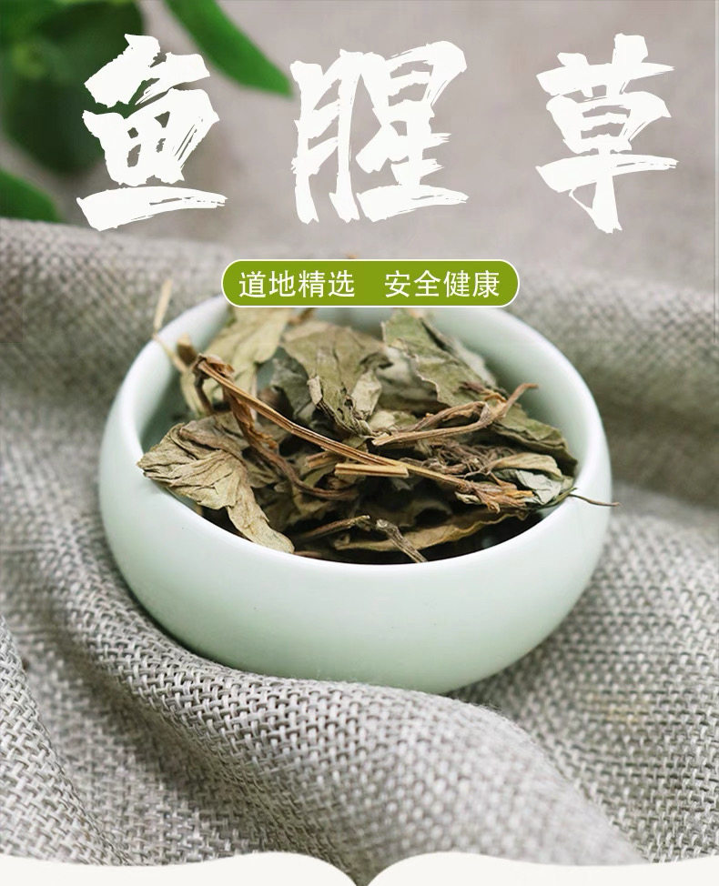 鱼腥草干草鱼腥草叶鱼腥草茶鱼腥草粉鱼腥草根