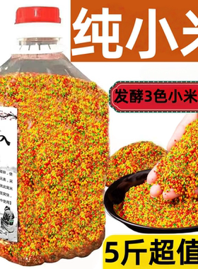 钓鱼三色小米纯小米窝料