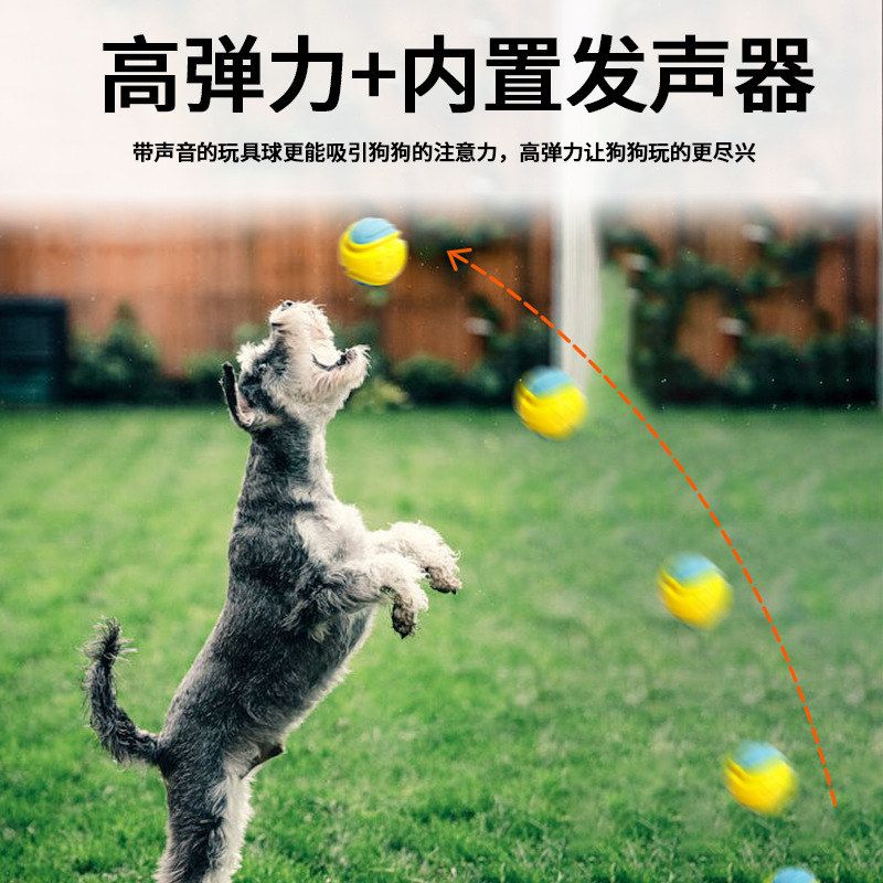 laroo莱诺狗狗玩具蹦蹦球宠物比