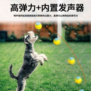 laroo莱诺狗狗玩具蹦蹦球宠物比熊泰迪自嗨解闷小狗磨牙耐咬发声