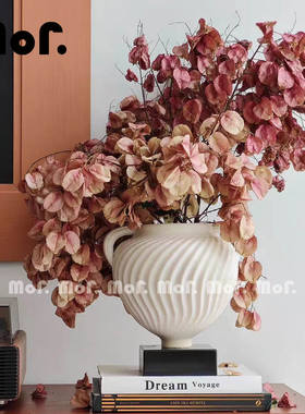 墨非 中古轻法式双耳花瓶小众复古摆件高级感插花器软装饰品