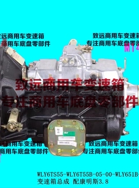 万里扬WLY6TS55-WLY6T55B-05-00-WLY651B-04B-00变速箱总成康明斯