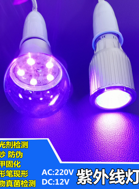 直流DC12VLED紫外线灯泡紫光荧光验钞诱虫密室诱蚊灯E27螺口射灯