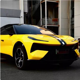 适用路特斯ELETRE车贴拉花繁花改装机盖引擎盖线条装饰贴纸EMIRA