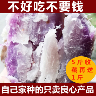 贵州特产镇远紫心红薯现挖新鲜大小5斤农家自种高山粉糯番薯板栗