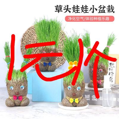 diy同款迷你卡通长草头娃娃情侣孩子礼物办公室宿舍绿植盆栽花卉U