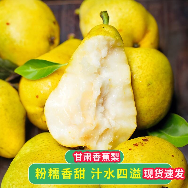 甘肃太婆梨现摘香甜爆汁无渣