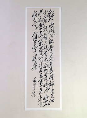 毛体书法七律人民解放军占领南京