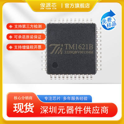 TM1621B  SSOP-48 低功耗内存映象和多功能LCD驱动器 原装现货