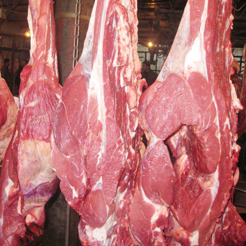 牛肉腿2斤重生鲜散包装新疆草原哈萨克黄牛红烧土豆炒卤等包邮