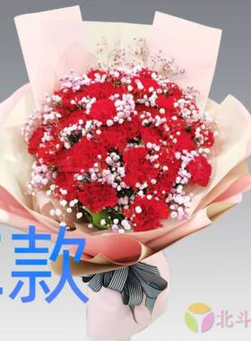 生日贺寿康乃馨山西忻州订花店送花五台县代县繁峙县同城鲜花快递
