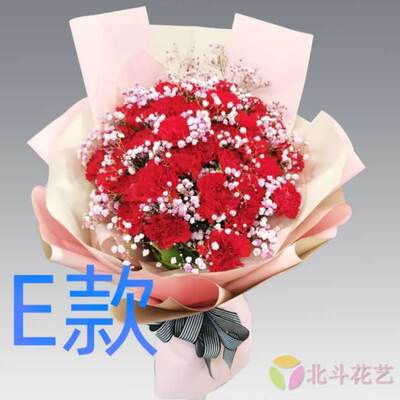 生日康乃馨宁夏石嘴山订花店送花平罗县惠农区大武口同城鲜花快递