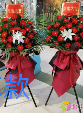 开业花篮开张庆典邵阳鲜花店送花隆回县洞口县绥宁县花圈鲜花速递