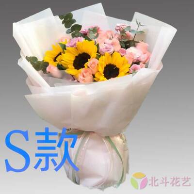 生日探望康乃馨湖南郴州花店送花桂阳县宜章县永兴县同城鲜花速递