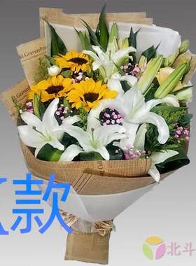 生日祝寿康乃馨贵州铜仁花店送花石阡县思南县印江县同城鲜花速递