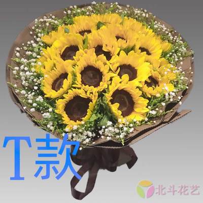生日贺寿康乃馨陕西宝鸡花店送花渭滨区金台区宝鸡县同城鲜花快递