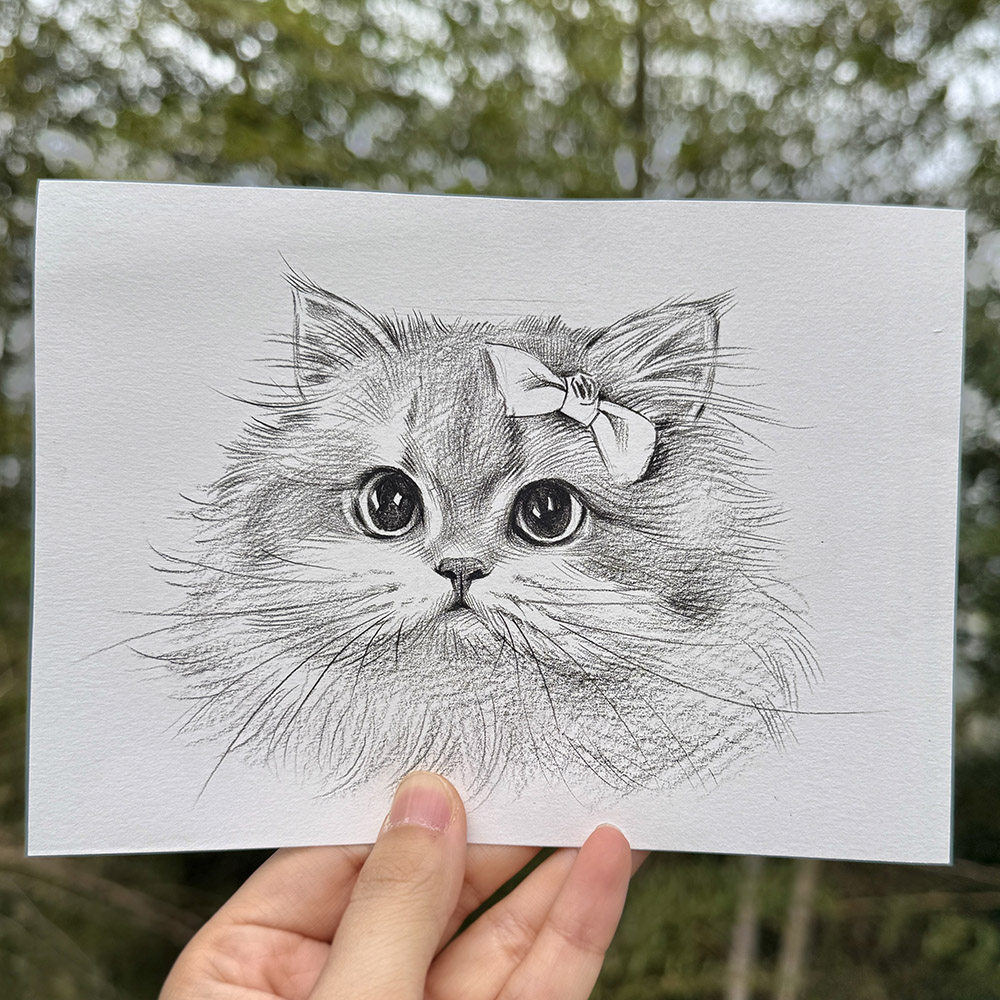 手绘猫咪头像定制可爱呆萌生日礼物创意装饰画个性化宠物照片手绘