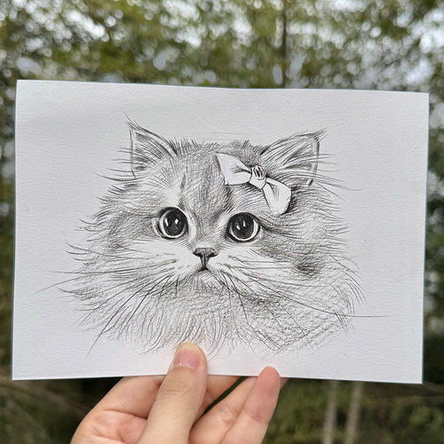 手绘猫咪头像定制可爱生日礼物