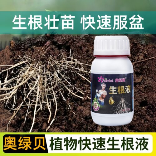 奥绿贝快速生根液植物通用扦插移栽花卉树木强力壮苗生根剂生根粉