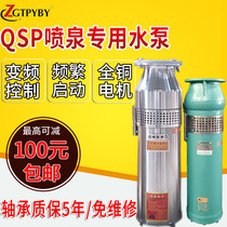 QS, QSP Stainless Steel Submersible Fountain Pump qs65-10-3 water filled landscape fountain special submersible pump stainless steel