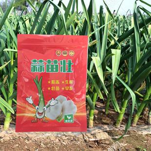 蒜苗壮大蒜生根壮苗促生长防干尖黄叶防冻害正品蒜苗叶面肥正品