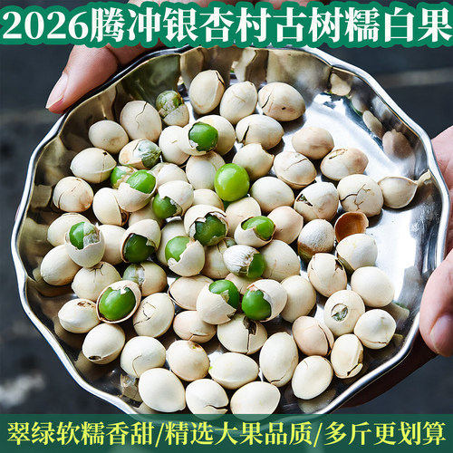 腾冲银杏村古树糯白果带壳生白果