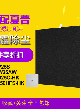 适配夏普空气净化器滤芯FU-W25AW/S25C-HK/P25S/FZ-150HFS-HK滤网