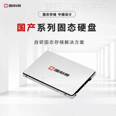 国科微国产固态硬盘，M.2接口E1X2HP3N6YT2Z1，1TSSD，芯盛硬盘