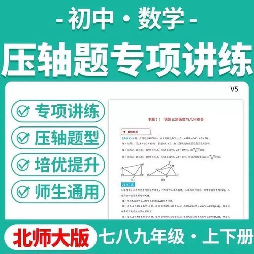 2026北师大版初中数学讲义