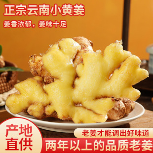 滇鲜生云南小黄姜生姜月子姜农家现挖高山沙姜调味新鲜蔬菜