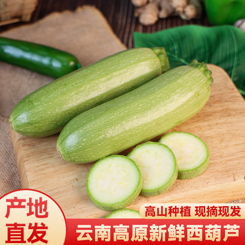 云南现摘新鲜西葫芦当季西葫芦脆嫩爽口应季蔬菜农家自种小瓜