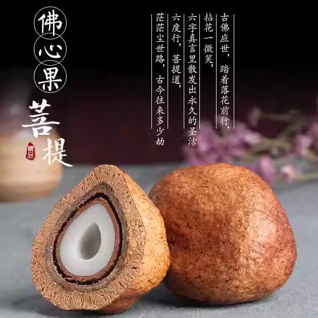 释迦菩提螺丝帽空心菩提吊坠扣佛菩提