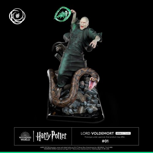 无限实验室 Tsume IKIGAI  Harry Potter 伏地魔