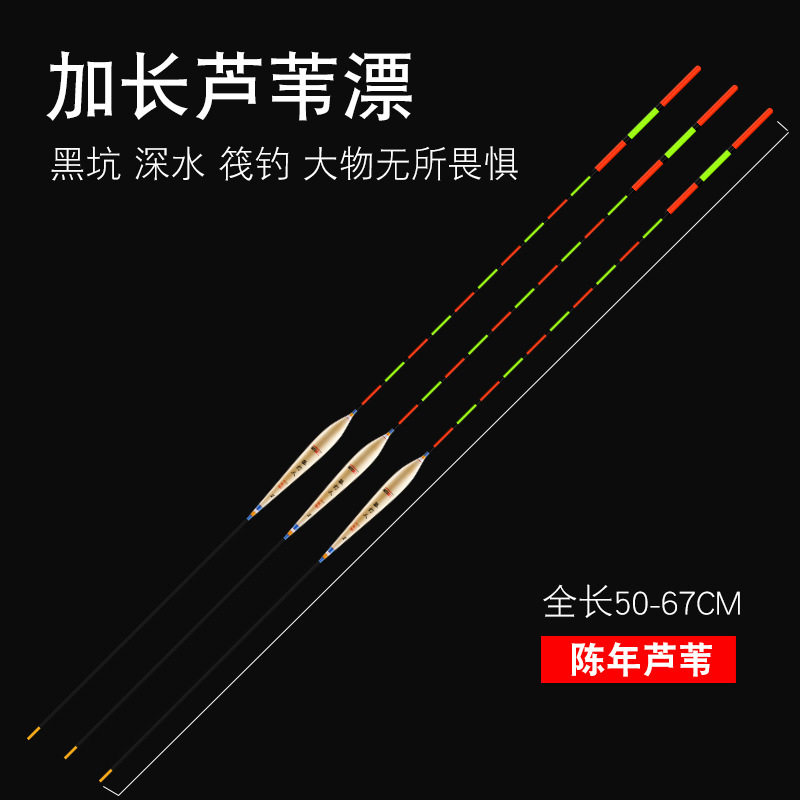 黄金眼芦苇青鱼鲢鳙鱼漂大物漂