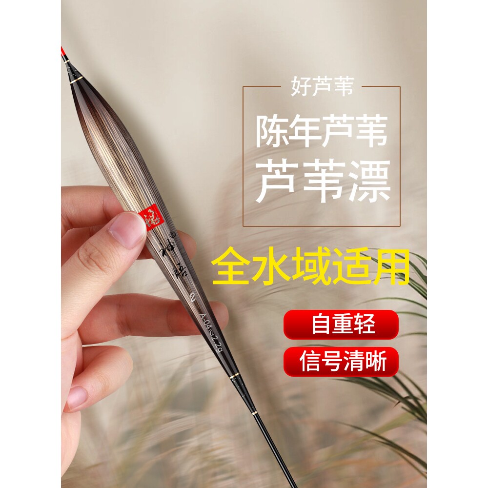 黄金眼芦苇浮漂野钓黑坑底钓加粗