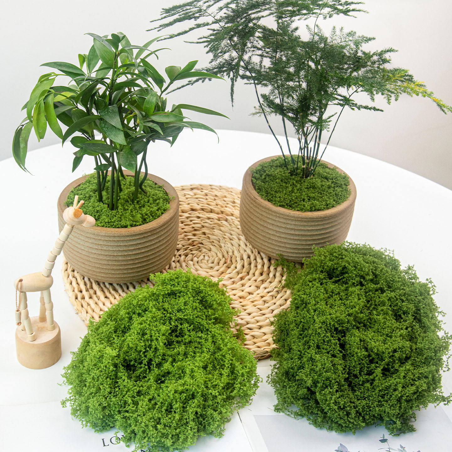 仿真苔藓造景假青苔草皮绿植微景观植物装饰人造仿生草坪盆栽铺面