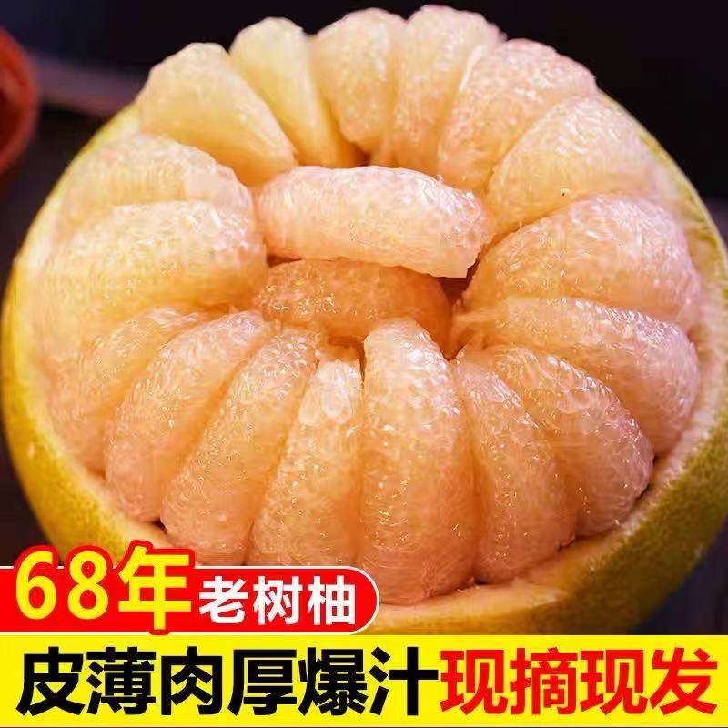 福建仙游度尾文旦柚红心当季