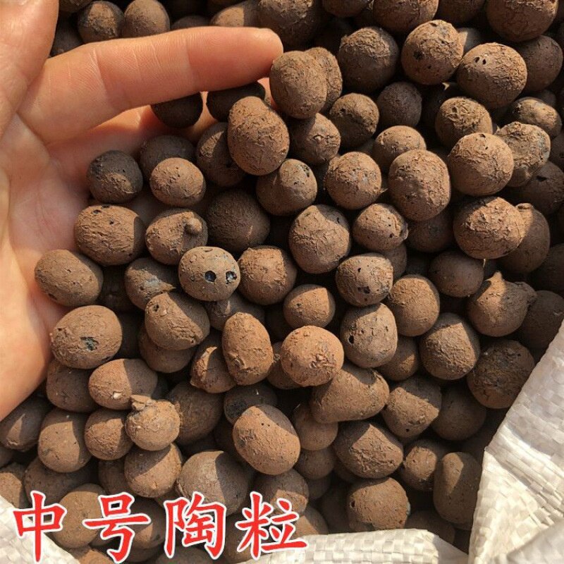 陶粒球花卉盆栽防烂根多肉种植花盆垫底无土栽培养花空心陶粒