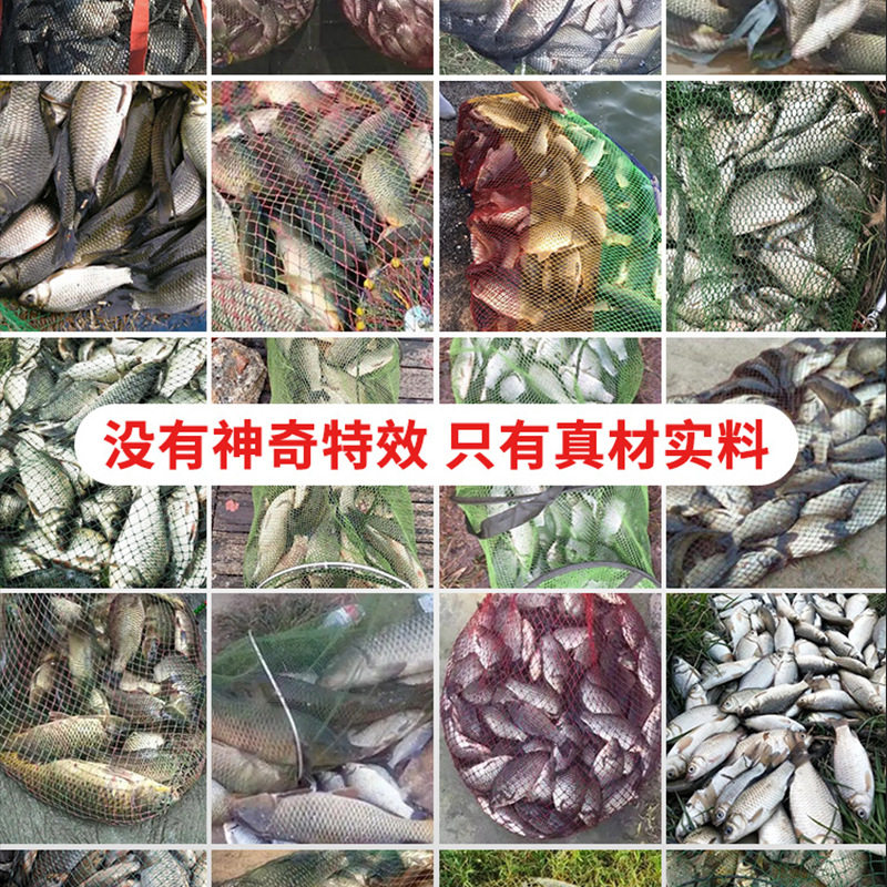 钩尖江湖艰苦奋斗也要钓鱼蚯蚓饵料野钓通杀鲫鱼鲤鱼草鳊鱼料鱼饵