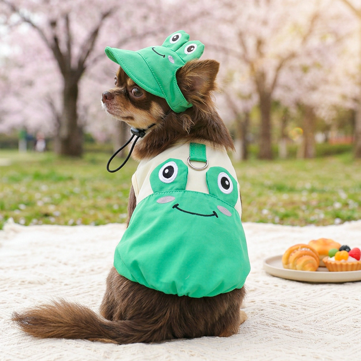 现货宠物服装小狗猫咪衣服春夏薄款可爱卡通动物背心帽子套装批发