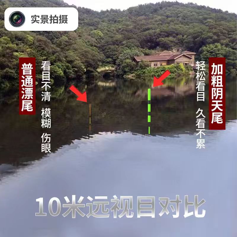超亮全绿阴天加粗咬钩变色电子漂远投夜光漂日夜两用野钓鲢鳙鱼漂