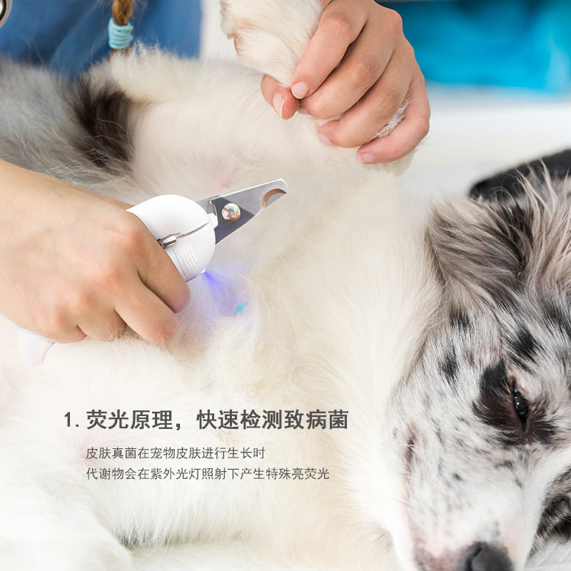 批发带灯指甲刀宠物指甲钳荧光灭菌猫狗指甲钳