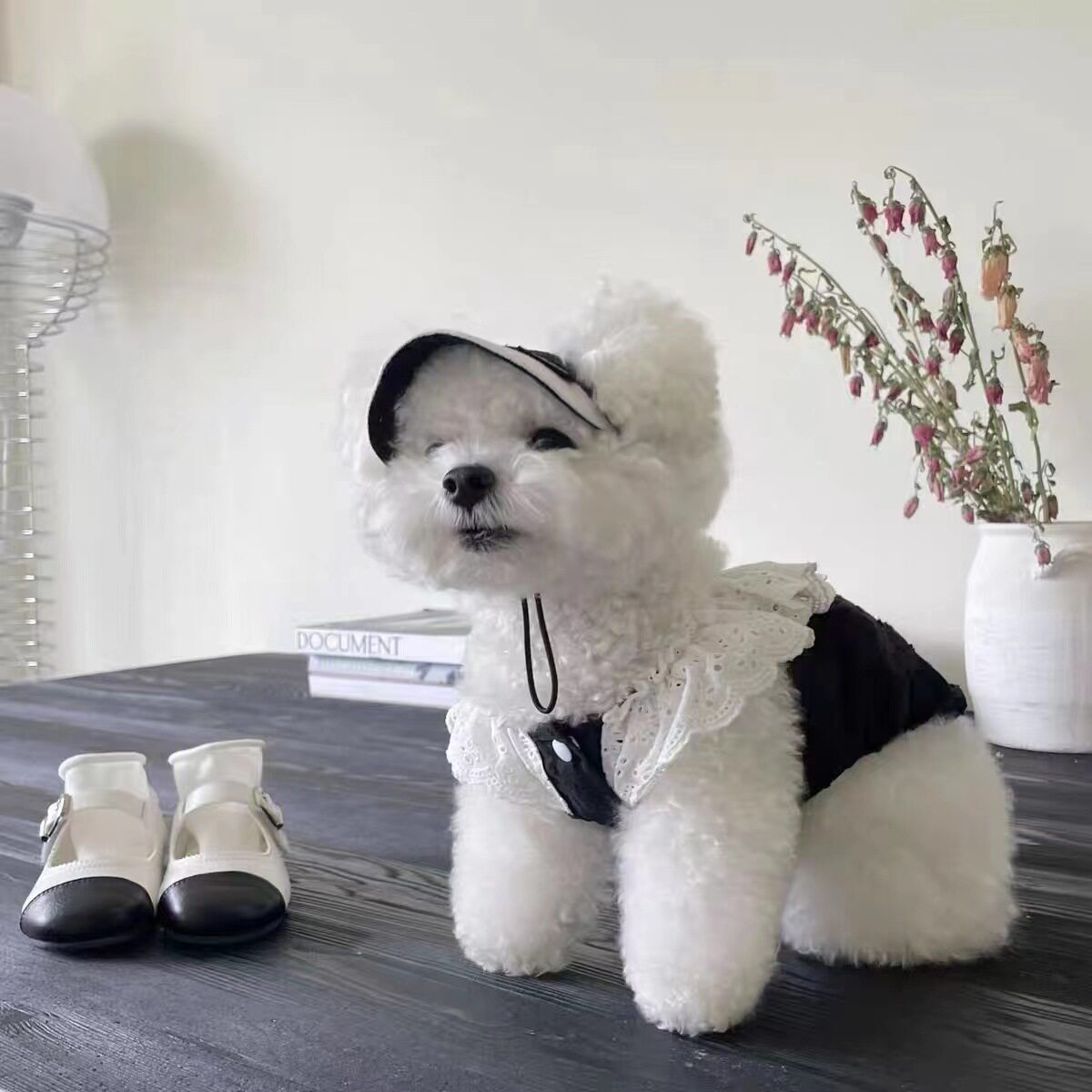 宠物连衣裙夏季薄款猫咪狗狗法斗柯基泰迪博美比熊衣服小型犬春秋