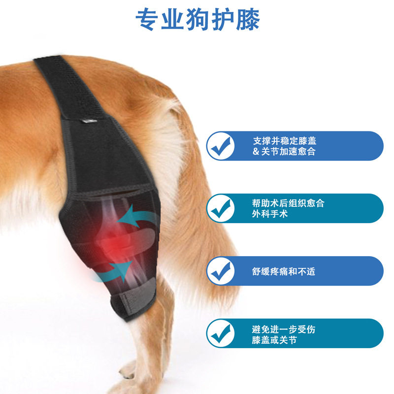 亚马逊热卖宠物用品狗狗护膝护腿护膝宠物护具狗狗手术受伤保护套