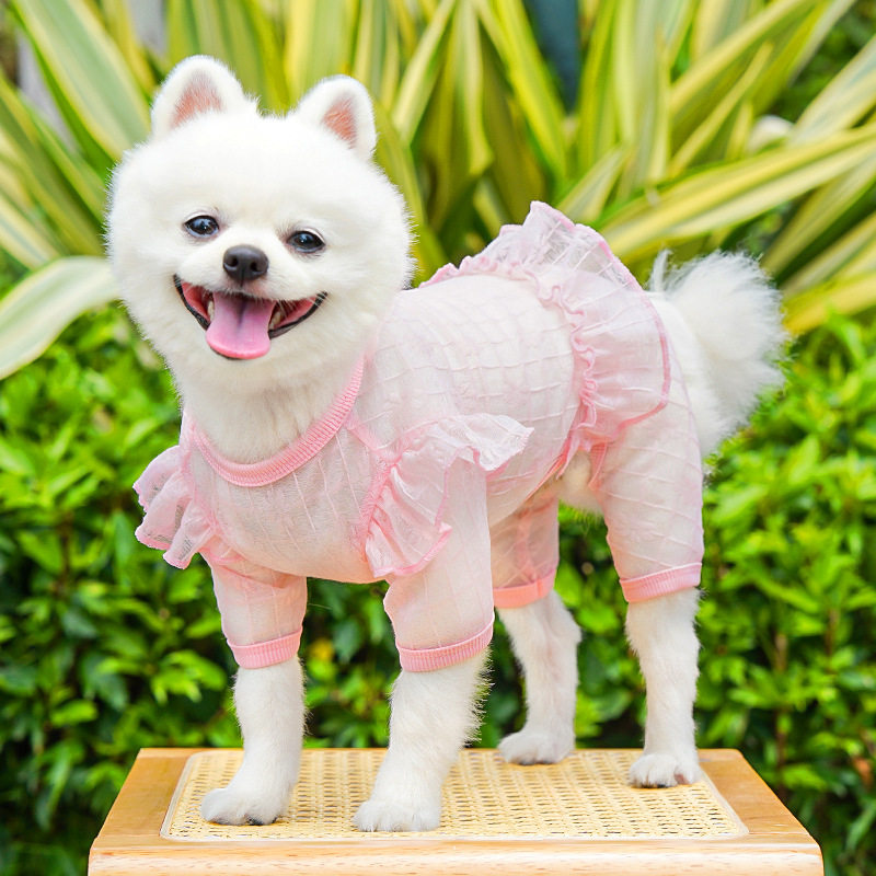 原创四脚衣宠物狗狗衣服狗衣服猫咪衣用品蕾丝网纱裙子裤子跨境比