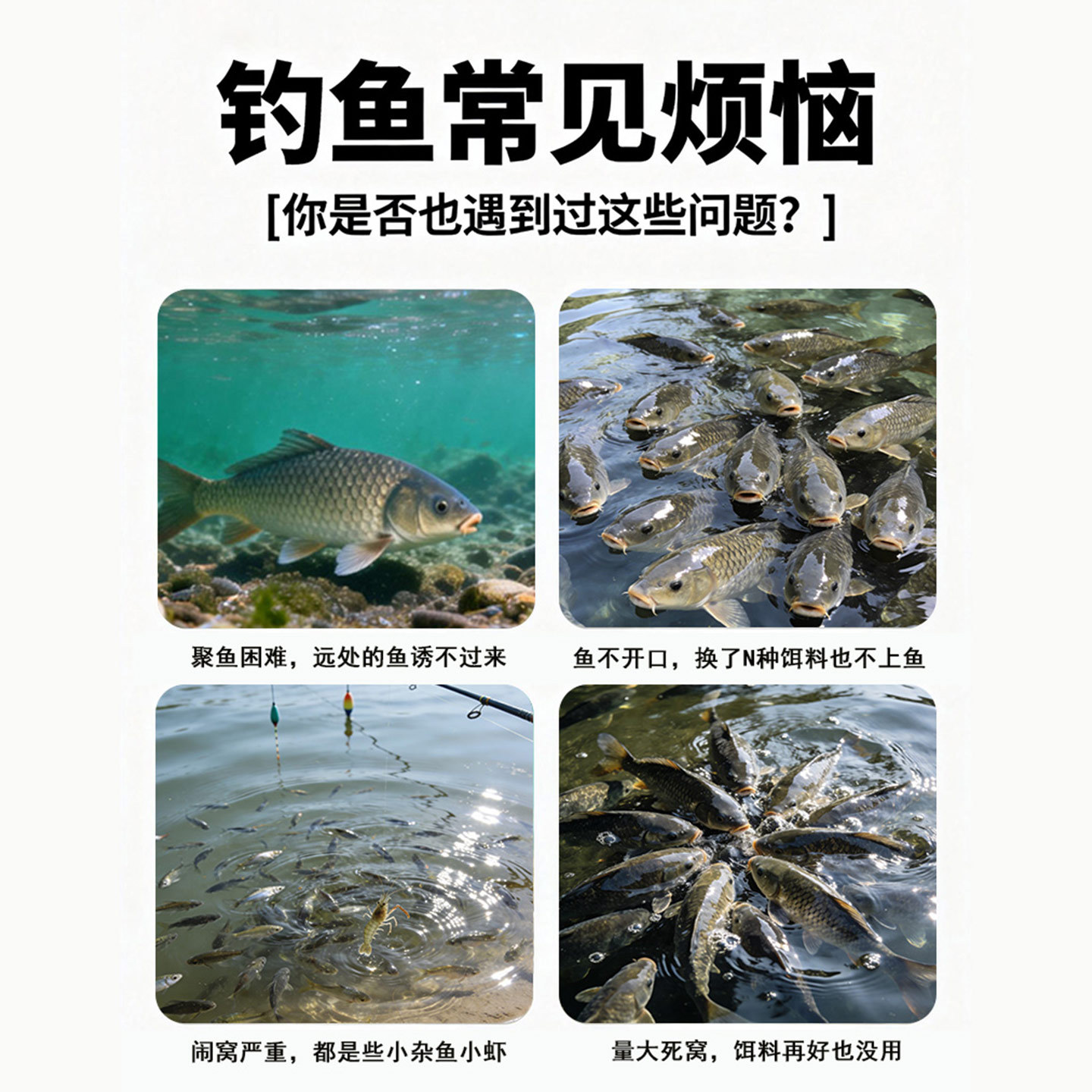 水产硫酸铜颗粒窝料硫醚沙星DMPT诱鱼野钓打窝硫酸铜颗粒