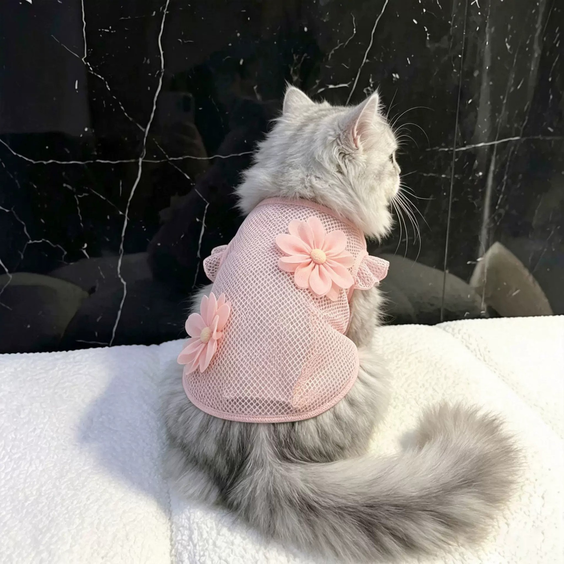 猫咪衣服夏季薄款透气网眼立体花朵背心飞袖公主风连衣裙布偶猫咪