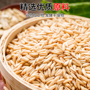 武汉天元巨无霸青草鳊饵料青鱼草鱼鱼饵窝料黑坑野钓鳊鱼专攻