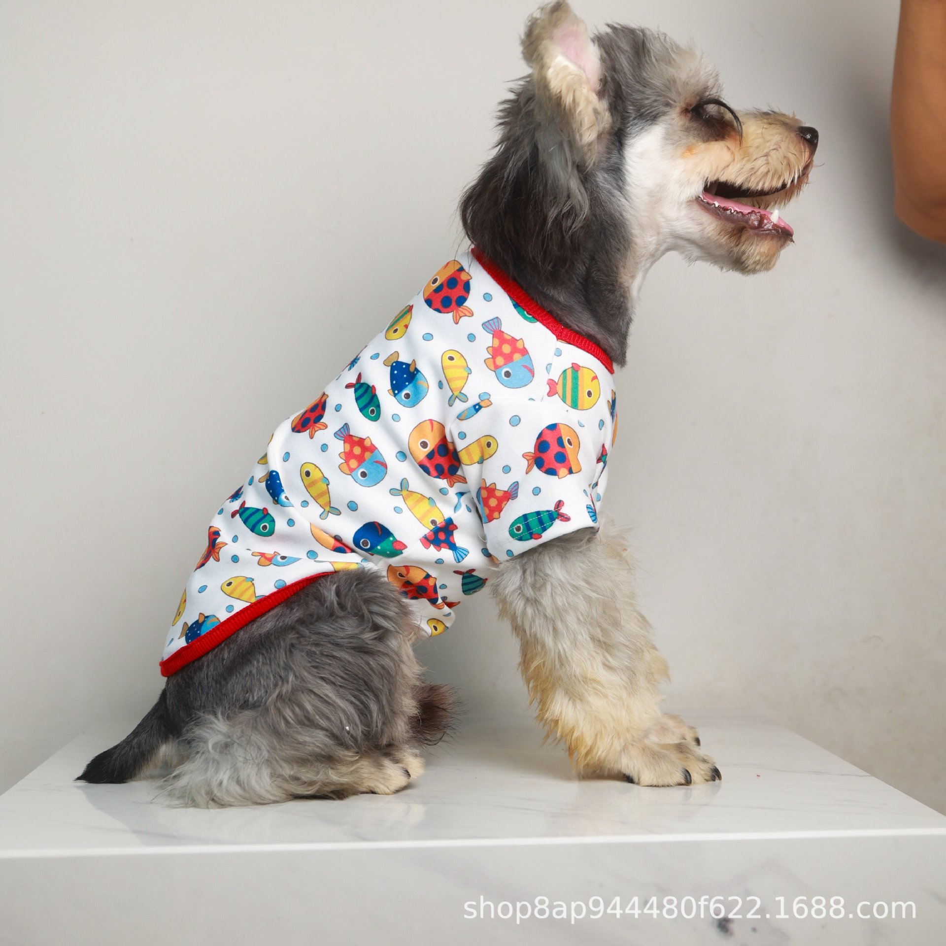 跨春夏薄款服饰小中型犬猫德绒印花宠物衣服狗狗猫咪金毛T恤可爱